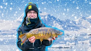 The REALITY Of Winter Match FISHING  Makins Live Match Fishing [upl. by Anabella]