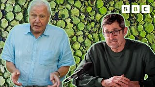 Louis Theroux VS Sir David Attenborough – who narrates The Green Planet better 🤔 🌱 BBC [upl. by Haimes633]