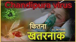 Chandipura Virus  आखिर क्या है यह खतरनाक वायरस [upl. by Acissaj]