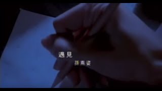 孫燕姿 Sun YanZi  遇見 Encounter official 官方完整版MV [upl. by Jan433]