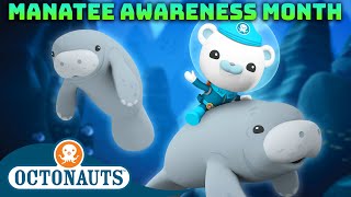 Octonauts  🛟 Manatee Rescue Operation ⛑️  Manatee Awareness Month  40 Mins Compilation [upl. by Nannek]