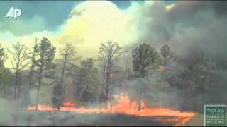 Raw Video Shows How Fast Texas Wildfire Spread [upl. by Wilber238]