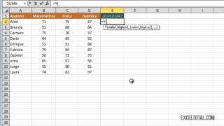 Función Y en Excel [upl. by Gaulin610]