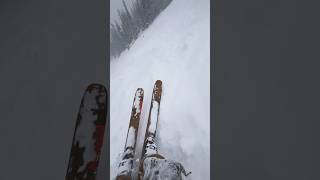 K2 reckoner 110 🧐 skiing powderday shortfeed [upl. by Eytteb]