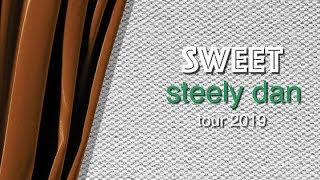 Steely Dan quotSign In Strangerquot Live Sweet Tour 2019  The Pechanga Theater [upl. by Lenwood]