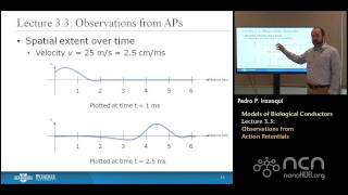 nanoHUBU Bioelectricity L33 Biological Conductors  Observations from Action Potentials [upl. by Yuht]