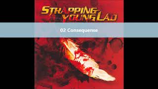 Strapping Young Lad  S Y L full album 2003 [upl. by Yllet]