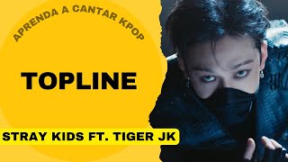 Aprenda a cantar STRAY KIDS FT TIGER JK  TOPLINE letra simplificada [upl. by Elinad]