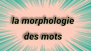 la morphologie des mots [upl. by Anilave]