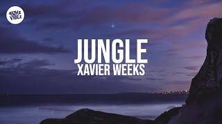 Xavier Weeks  Jungle Lyrics  432Hz [upl. by Adali915]