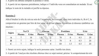 Exercices  Troisième  SVT  Le rôle du rein dans lexcrétion urinaire et la régulation du milieu [upl. by Cirtap579]