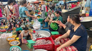 Compilation Fish Market Scene In Town  Plenty Fish Fresh Vegetable More Food In Wet Market [upl. by Nauqahs44]