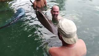 250lb Mekong Catfish at Gillhams Fishing Resorts Krabi Thailand [upl. by Obie]