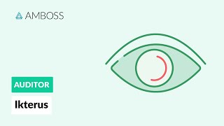 Differentialdiagnostik des Ikterus  AMBOSS Auditor [upl. by Fenny]