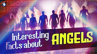 INTERESTING FACTS ABOUT ANGELS 👼  COMFORTER LIVE  17 SEPTEMBER  JOIN US [upl. by Nylesoy]