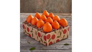 Hale Groves Honeybell Oranges 1 Tray [upl. by Ecinej]