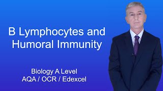 A Level Biology Revision quotB Lymphocytes and Humoral Immunityquot [upl. by Ahsikyt]