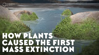 How Plants Caused the First Mass Extinction [upl. by Buckley]