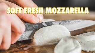 30 Minute Homemade Fresh Mozzarella Cheese [upl. by Uoliram921]