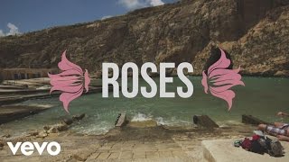 The Chainsmokers  Roses Lyric Video ft ROZES [upl. by Torry]