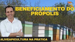 BENEFICIAMENTO DO PRÒPOLIS [upl. by Telrahc]