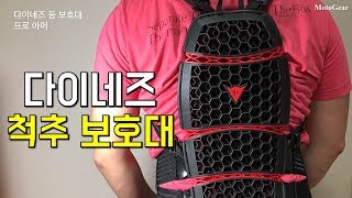 다이네즈 등보호대 개봉기 프로아머 Dainese ProArmor Back Protector Review [upl. by Regnig408]