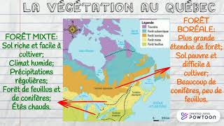 La végétation et les régions naturelles au Québec [upl. by Gold]