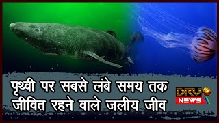 Longest Living Aquatic Creatures on Earth  पृथ्वी पर सबसे लंबे समय तक जीवित रहने वाले जलीय जीव [upl. by Nnayrrehs83]