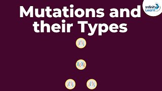 Genetics  Mutations and their Types  Lesson 20  Dont Memorise [upl. by Anekam]