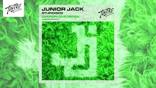 Junior Jack  Stupidisco Deeperlove Remix [upl. by Bakeman172]