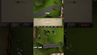 Did You Know The Lumbridge Chef In Old School RuneScape Used To Be A Woman [upl. by Justen]