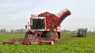 Loonbedrijf Paridaen  Agrifac Hexa  bieten rooien [upl. by Gurl922]