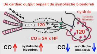Bloeddruk [upl. by Zebaj131]