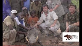 CHASSE EN GAMBIE au campement de MAMUFANA [upl. by Wolpert]