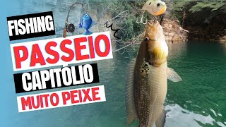 tem muito TUCUNARÉ nessa represa 🎣 era só jogar e puxar  Fizemos um passeio de lancha [upl. by Greeson]