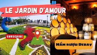 Khám phá Vườn hoa Le Jardin D’amour  Vườn hoa tình yêu và hầm rượu Debay  Bà Nà Hills [upl. by Angelita]