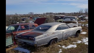 Salvage yard in Idaho with 8000 old cars [upl. by Lecroy773]