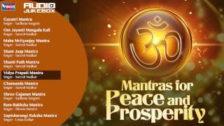 10 Mantras For Peace of Mind And Prosperity  Shiv Mantra  Shanti Mantra Chamunda Mantra [upl. by Evannia649]