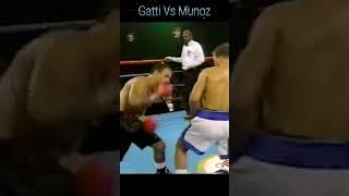 Arturo Gatti Vs Reyes Munoz boxing knockouts [upl. by Eslehc]