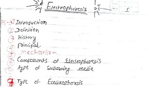 Electrophoresis  BscMsc Zoology Notes In Hindi  youtube zoology [upl. by Altheta2]