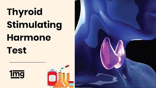 Thyroid profile T3 T4 TSH test in Hindi  Thyroid function test kya hota hai [upl. by Malony]