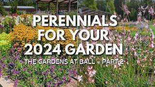 Bright Beautiful Perennials for Your 2024 Garden  The Gardens at Ball Tour  Part 2🌿😀 [upl. by Tartaglia]