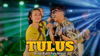 Tulus  Avirgo Alga Ft Vidia Antavia  Official Live Music  Av Music  Opo Anane Tomponen [upl. by Etna891]