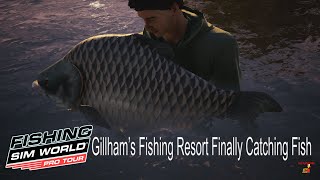 Gillhams Fishing Resort Finally Catching Fish Bait Selection Update ¦ Fishing Sim World Pro Tour [upl. by Igic]