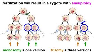 Alteration of Chromosome Number and Structure [upl. by Renelle]