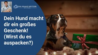 Dein Hund macht dir ein großes Geschenk Wirst du es auch auspacken [upl. by Carlene]