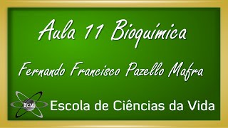 Bioquímica Aula 11  Enzimas  Enzimas alostéricas [upl. by Karab]