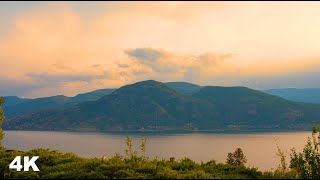 Serene Mountain Lake with Bird and Cricket Sounds  Peaceful Nature Ambience for Relaxation [upl. by Valry]