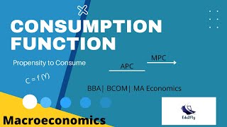 Consumption Function  Macroeconomics [upl. by Seiber]