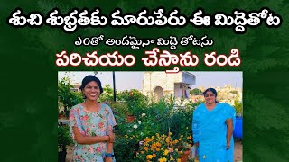 మణి గారి అందమైన మిద్దె తోట Terrace garden ideas Terrace gardenTerrace farming [upl. by Kary]